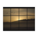 Morning View Post Card postcards by kcranmerart Morning View Post Card postcards
