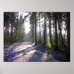 Morning Walk in the winter sun Posters