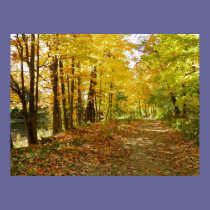 Morning Walk posters