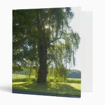 Morning Willow - Start the Day off Bright Binder