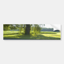 Morning Willow - Start the Day off Bright Bumper Stickers