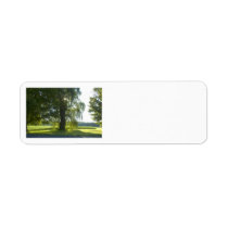 Morning Willow - Start the Day off Bright labels