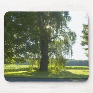 Morning Willow - Start the Day off Bright mousepad
