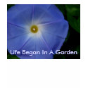MORNINGLORY, Life Began In A Garden t-shirts