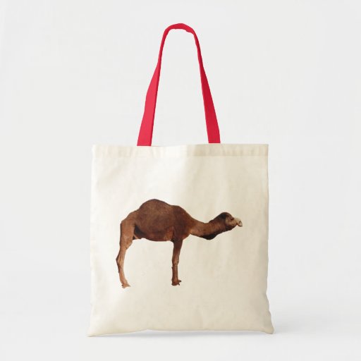 camel bag amazon