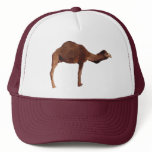 Moroccan Camel Hat