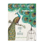 Moroccan Tile Peacock Birdcage Save the Date postcards