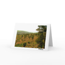 Moroccan Valley with Trees cards by rstoup1 Moroccan Valley with Trees cards