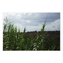 Moroccan Vista Satin Print Photograph