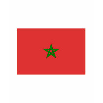 Morocco FLAG International t-shirts by flagshirt Morocco FLAG International t-shirts