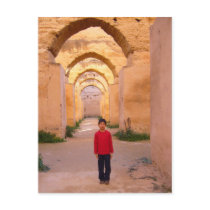 morocco moment with mew postcards