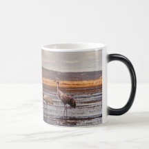 Morphing Mug / Sandhill Cranes @ Innoko NWR