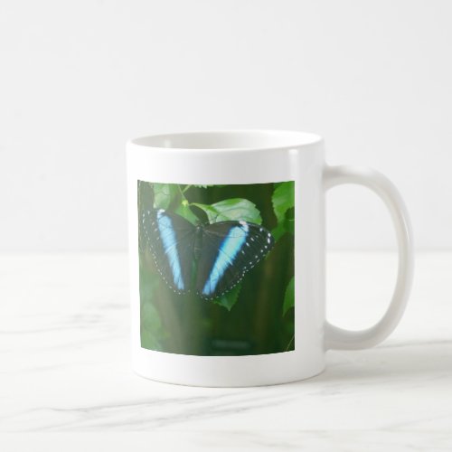 Morpho Butterfly mug