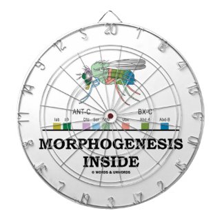 Morphogenesis Inside Drosophila Fruit Fly Genes Dartboards