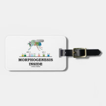 Morphogenesis Inside Drosophila Fruit Fly Genes Bag Tag
