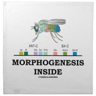 Morphogenesis Inside Drosophila Fruit Fly Genes Printed Napkin