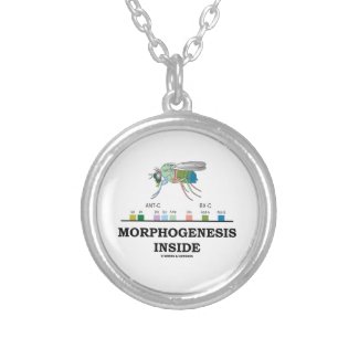 Morphogenesis Inside Drosophila Fruit Fly Genes Personalized Necklace