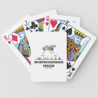 Morphogenesis Inside Drosophila Fruit Fly Genes Poker Cards