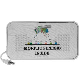 Morphogenesis Inside Drosophila Fruit Fly Genes iPod Speaker