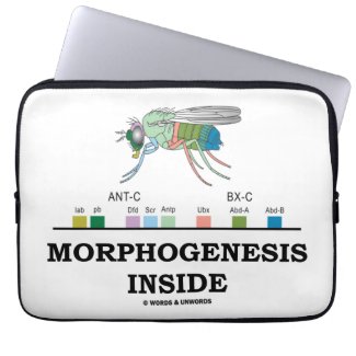 Morphogenesis Inside (Drosophilia Homeobox Genes) Laptop Computer Sleeves