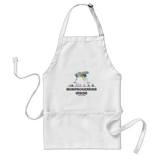 Morphogenesis Inside (Fruit Fly Drosophila Genes) apron