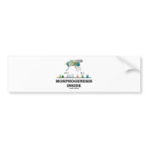 Morphogenesis Inside (Fruit Fly Drosophila Genes) Bumper Stickers