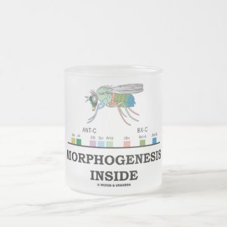 Morphogenesis Inside (Fruit Fly Drosophila Genes) Coffee Mugs