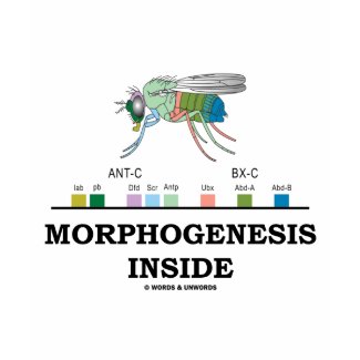 Morphogenesis Inside (Fruit Fly Drosophila Genes) shirt
