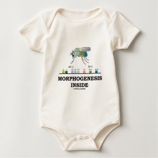 Morphogenesis Inside (Fruit Fly Drosophila Genes) shirt
