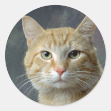 Morris Sticker