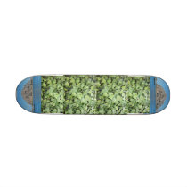 Morro Bay Ivy Skateboard by haikulady Morro Bay Ivy Skateboard