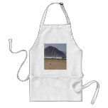 Morro Rock Beaches Surfers Aprons