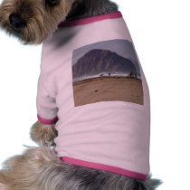 Morro Rock Beaches Surfers pet clothing