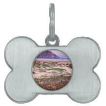 Morro Rock Dunes at Sunset Pet Name Tags