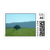 Morroco 1 postage