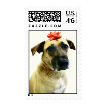 Mort B-Day Pic.jpg postage