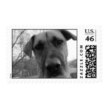 Mort the Dog postage