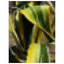 Mosaic Agave Americana - Maguey Enhanced t-shirts by MosaicArtwork Mosaic Agave Americana - Maguey Enhanced t-shirts