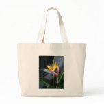 Mosaic Bird of Paradise 10 bags