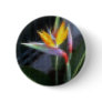 Mosaic Bird of Paradise 10
