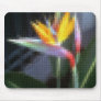 Mosaic Bird of Paradise 10