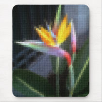 Mosaic Bird of Paradise 10 Mouse Mats