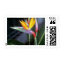 Mosaic Bird of Paradise 10