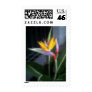 Mosaic Bird of Paradise 10