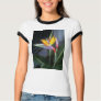 Mosaic Bird of Paradise 10