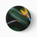 Mosaic Bird of Paradise 2 buttons by MosaicArtwork Mosaic Bird of Paradise 2 buttons
