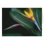 Mosaic Bird of Paradise 2 Greeting Card