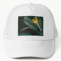 Mosaic Bird of Paradise 2 hats by MosaicArtwork Mosaic Bird of Paradise 2 hats