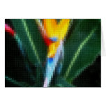 Mosaic Bird of Paradise 8 Greeting Card