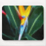 Mosaic Bird of Paradise 8